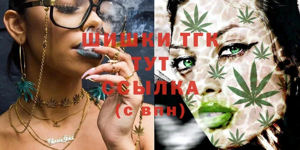 герыч Дмитриев