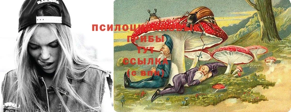 герыч Дмитриев