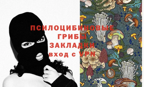 герыч Дмитриев