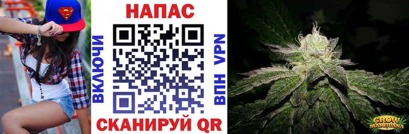 Купить закладки  Николаевск  Шишки марихуана Bruce Banner 